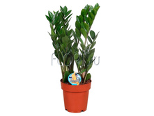 ������������ ��������� 12�45. 249,9 ���.jpg