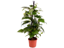 ������ ���������� 14�50. 514,16 ���.jpg