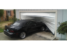 ������ �����