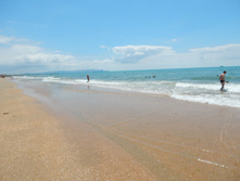 ���� ����, ���� 2015�