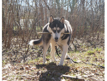 DSC07875.JPG