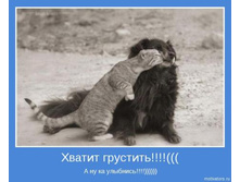 ������ ��������)