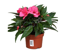 ��������� ���������� ���� 13�35. 183,62 ���.jpg