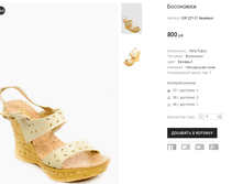 SIR 221-31 �������.png