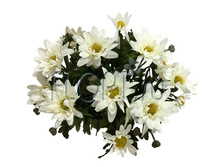 ���.����. ���������� � ������, �������, ����� �21925�. 31 ��. 979,19 ���.jpg