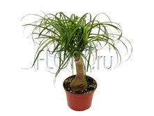 ������ 14�37. 657,62 ���.jpg