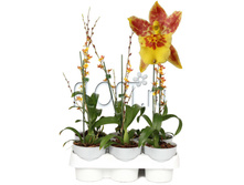 ������� ������ 9�30. 482,09 ���.jpg