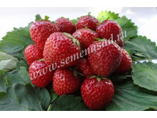 ��������� ������� ������.jpg