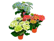 ��������� ���� 14�40. 546,8 ���.jpg