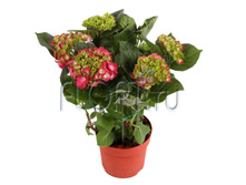 ��������� ������� 13�30. 432,43 ���.jpg