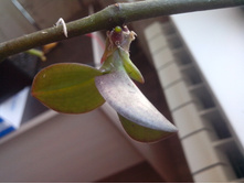 ����� � ��������� ������