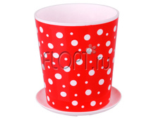 �2681 ������-����� ������� 2�.� ���.(����-����). 14�17 ��. 95,36 ���.jpg