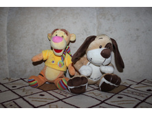 ��� ������ �������