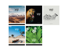 ������� 48�. �5 ������ �������. Time to travel 15,31.jpg