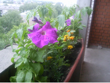 No22 ����0310.jpg