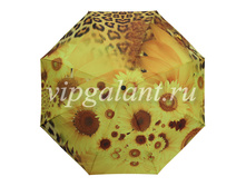 �������-����-Raindrops-733837 (7).jpg