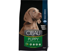 Farmina CIBAU �/� MAXI