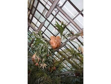 ���������� ����������.jpg