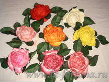 20-433 �������� ������������� � ������������ "����" 12 ��., ��� 79.00