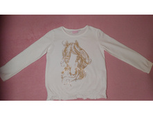 ����������� �������� �-� 104 200 ���