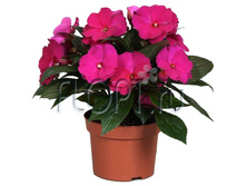 ��������� ����� ��� 13�30. 162,33 ���.jpg