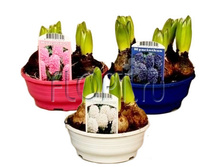 ������� ���� 5���. 3��. 16�15. 199,61 ���.jpg