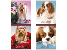 ������� 48�. �5 ������ �������� ������, ���������� ��� 18,96.jpg