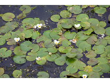 �������� 120�.jpg