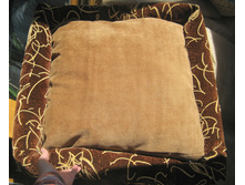 IMG 7055.JPG