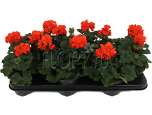 ���������� ��������� ������� ����� 10�25. 143,48 ���.jpg