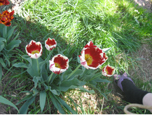 IMG 0194.JPG