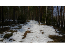 IMG 20160410 112331.jpg