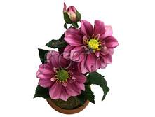 ���.����. �������, � ������, ���������� �22830�. 30 ��. 326,41 ���.jpg