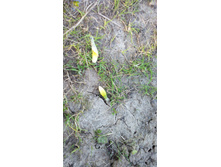 IMG 20160428 183232.jpg