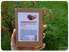 ����������� ������� "�����������" (������� S. Trifoliatus)