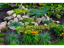 540fc072aca29 dsc0838.jpg