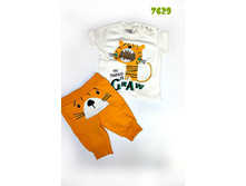 �������� ��� �������� (7629) ������68,74,80,86,92 600+% 3.jpg