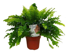 ���������� ������ 12�20. 252 ���.jpg