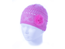 �������� ���� ������� (�����) ��� C-463