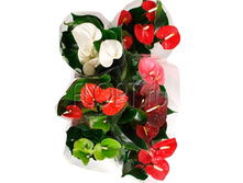 �������� ����� ���� 14�50. 546 ���.jpg