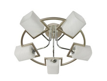 673011605 4970�.jpg