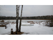 IMG 20160409 124424.jpg