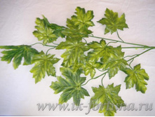 18-013 ����� "����", 18 ������, 75*40 ��., �������, ����� 64.00