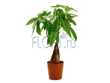 ������ �������� 13�55. 516,09 ���.jpg