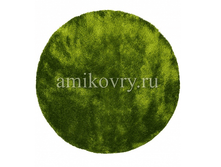 ����� Sunny H55-green ����.png