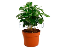 ���� 12�30. 198,45 ���.jpg