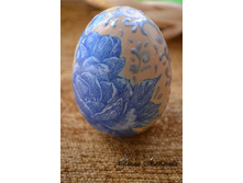 ���� ���������� "����� ����" (������)