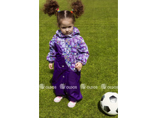 ���������� ����