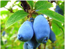 ��������� ����������.PNG