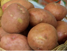 ��������� ��������� 40���. �� 1�� (���������� �� 3 ��, �� ����� � �� 1��).jpg